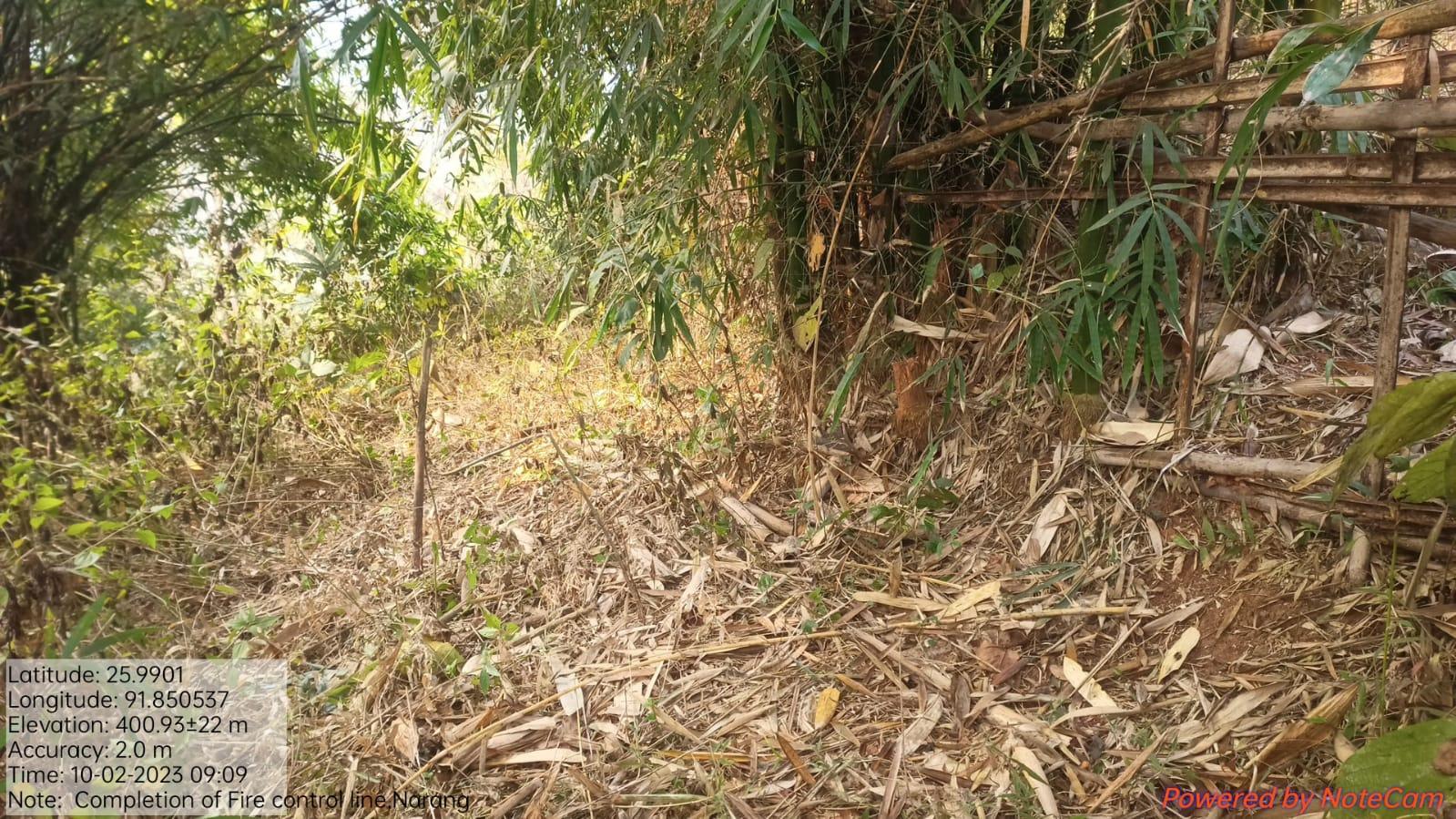 G:\Medical Leave Gordon\VILLAGE REPORT PICTURES\UMLING BLOCK\Narang\7.forest fire control line\WhatsApp Image 2023-02-10 at 13.29.11.jpeg